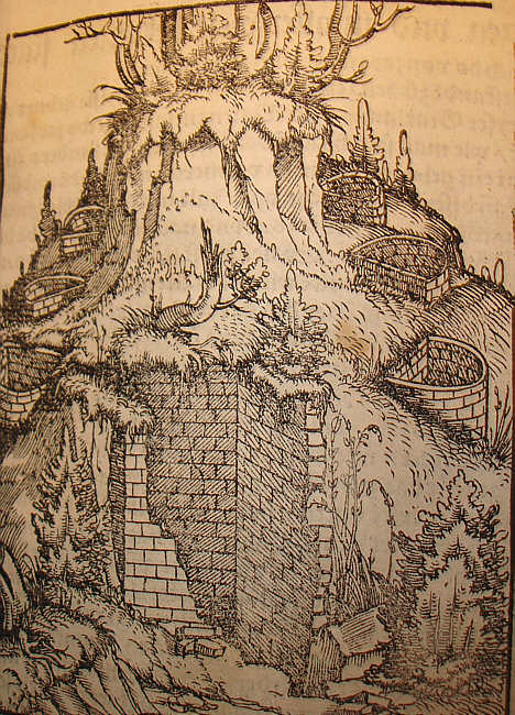 Foto: H.-J. G�nther